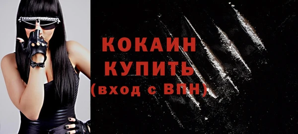 не бодяженный Заводоуковск