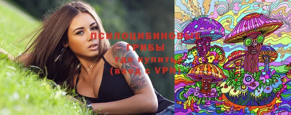 не бодяженный Заводоуковск
