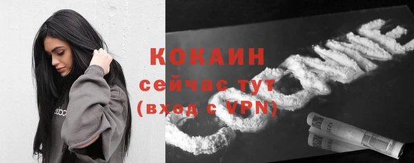 крисы Сосновоборск