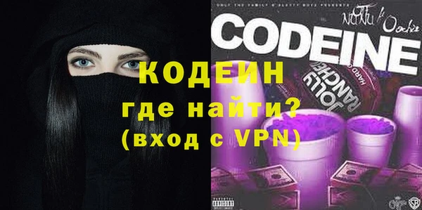не бодяженный Заводоуковск