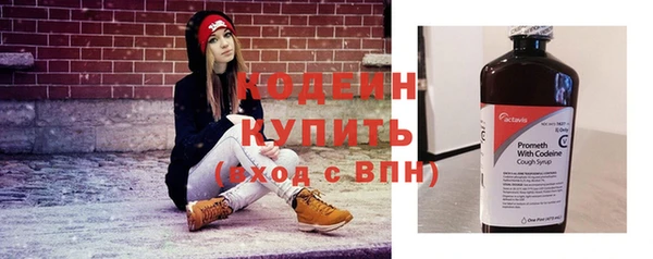 не бодяженный Заводоуковск